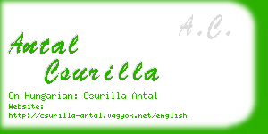 antal csurilla business card